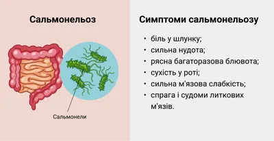 Все анализы | Лаборатория ООО «МедЛаб Экспресс»