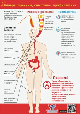 Профилактика заболеваний