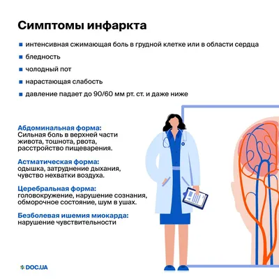 Инфаркт и инсульт: в чем разница? | 