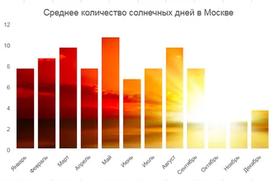 Инфографика