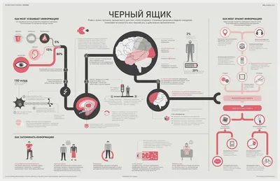 Как устроена инфографика | Медиа Нетологии