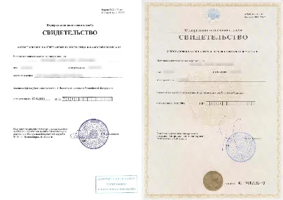 Можно ли открыть ИП без ИНН — регистрация ИП и ИНН в 2024 году