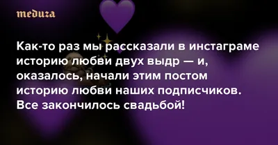 Как-то раз мы рассказали в инстаграме историю любви двух выдр — и,  оказалось, начали этим постом историю любви наших подписчиков Все  закончилось свадьбой! — Meduza