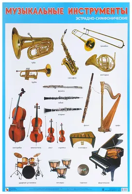 Инструментов симфонического оркестра картинки