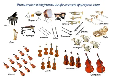 Инструменты симфонического оркестра.