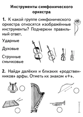 Инструменты симфонического оркестра