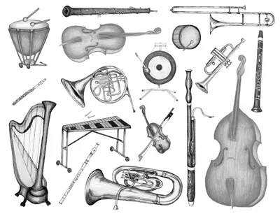 Инструменты симфонического оркестра