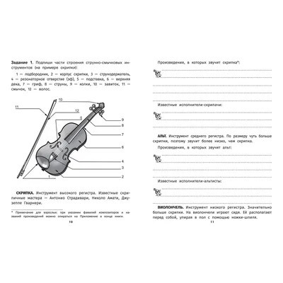 Раскраска Феникс Музыкальные инструменты для младших школьников купить по  цене 251 ₽ в интернет-магазине Детский мир