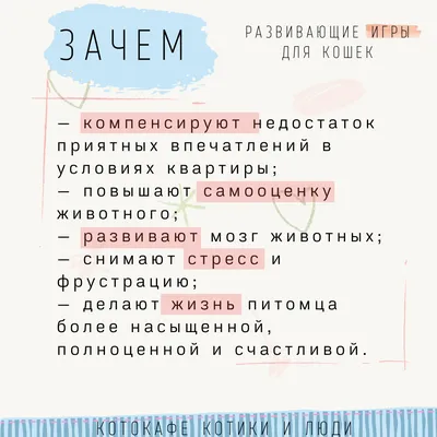 Адаптированные интеллектуальные игры – познавательный досуг нового формата  - Социальное обслуживание населения: новации, эксперименты, творчество.  СОННЭТ.