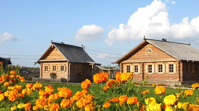 Интерьер старинной русской избы | Премиум векторы