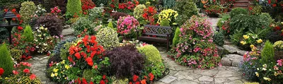 Современный дизайн сада (72 фото) - красивые картинки и HD фото