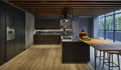 Дизайн современной кухни в черных тонах и особенности кухонь с черными  фасадами - IDM Eterno