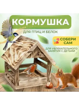 Собери свою книгу