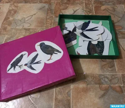 Липляндия Аппликация для детей Раскраска наклейками по номерам Птицы