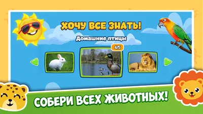 Моя ферма: собери любимых животных: игра развивающая для детей старше 3-х  лет из фетра+книга "Домашние птицы и их птенцы"+комплект из 12 карточек  "Животные-питомцы" – купить по цене: 506,34 руб. в интернет-магазине УчМаг