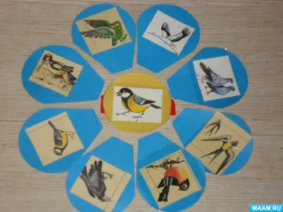Отзывы о детские кубики Мякиши Собери картинку Птицы 239 - отзывы  покупателей на Мегамаркет | развивающие игрушки 239 - 100000406567