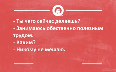 Блиц из 10 анекдотов на грани часть 8. Короткие но интересные анекдоты |  Через тернии к юмору | Дзен