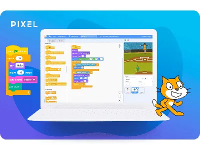 Интересные факты про среду программирования Scratch для детей