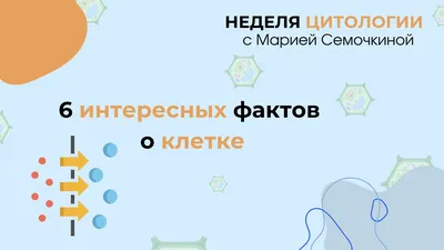 Интересные факты о слухе и ушах человека