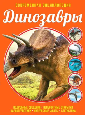 Самые Интересные и Необычные Факты про Динозавров, о которых вы не  Догадывались - YouTube