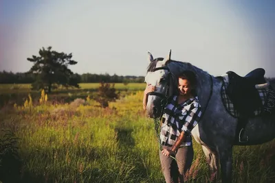 Интересные факты о лошадях. - Компания «Horsever»