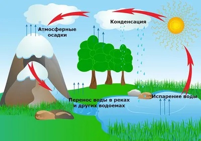 15 интересных фактов о воде