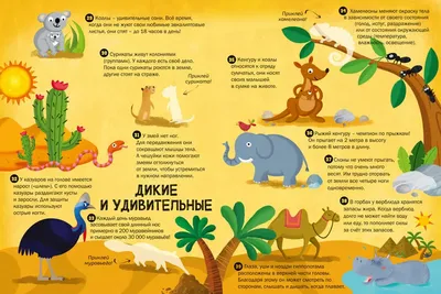 Интересные факты о животных . Блог Лого-Эксперт