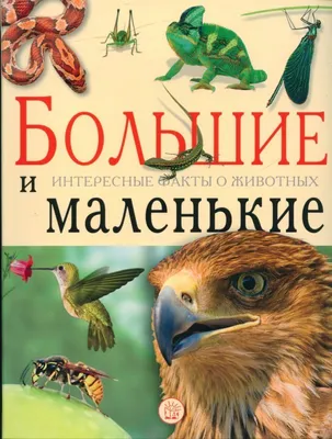 Р "100 Интересных фактов. Животные" купить за 418,00 ₽ в интернет-магазине  Леонардо