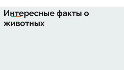 Про хвосты, носы и уши: интересные факты о животных (Стив Дженкинс) -  купить книгу с доставкой в интернет-магазине «Читай-город». ISBN:  978-5-91-657799-0