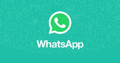 40 Фактов о WhatsApp | Интересные факты | Дзен