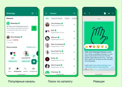 Интересный баг у WhatsAPP, позволяющий прочитать сообщения, которые удалены  собеседником | Android+ | Дзен