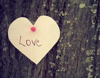 Что такое любовь? | Полезные и интересные статьи | Дзен