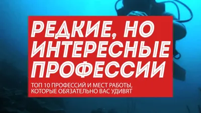 Хороший работодатель и условия интересные | Пикабу