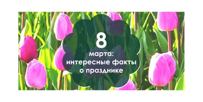 Очень интересная статистика покупок на 8 марта | Пикабу