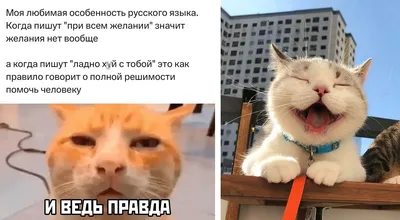 Улыбают❤️: Иногда - смешные😂, иногда - просто интересные таблички  встречаются | Призма жизни | Дзен