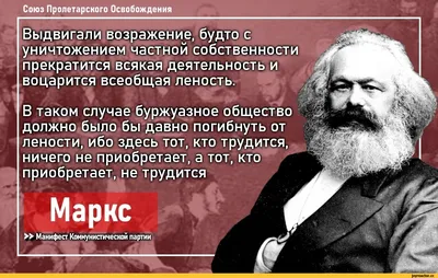 Интересные цитаты