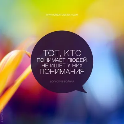 Лучшие цитаты из книг в красивых картинках онлайн — Canva