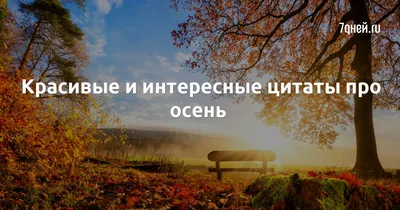 высказывания / прикольные картинки, мемы, смешные комиксы, гифки -  интересные посты на JoyReactor / новые посты - страница 5