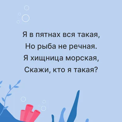 15 загадок от Стива Джобса. Он задавал их сотрудникам, когда принимал на  работу