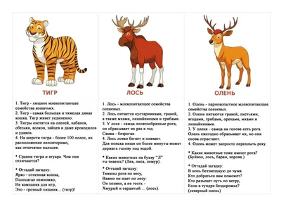 Карточки "Животные". Интересные факты и загадки. | Факты, Интересные факты,  Животные