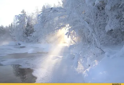 Идеи для зимней фотосъемки. Фотостудия "Frost"