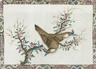 Мытищинцам расскажут интересные факты о зимующих птицах в «Синичкин день»