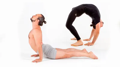 Основные позы в йоге для новичков: 12 базовых асан