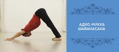Йога для начинающих в Москве · Хатха-йога в студии Чакра · Занятия для  новичков