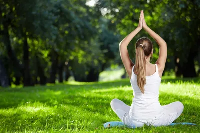 Йога на природе - Студия йоги «ИНДРА», студия обучающая хатха-йоге по  методу Б.К.С. Айенгара.