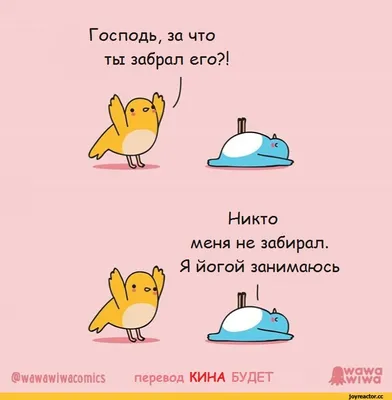 guzgiz comics :: йога / смешные картинки и другие приколы: комиксы, гиф  анимация, видео, лучший интеллектуальный юмор.