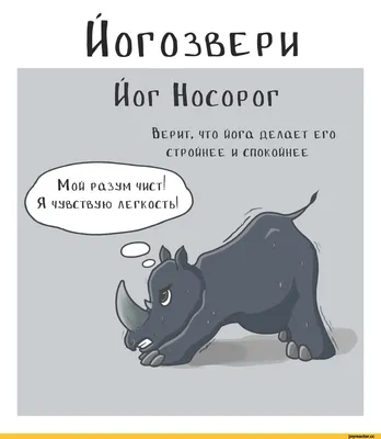 Скромный йога-невыйога | Пикабу