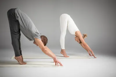 Side View Of Couple Practicing Yoga And Free Stock Photo and Image 135665498