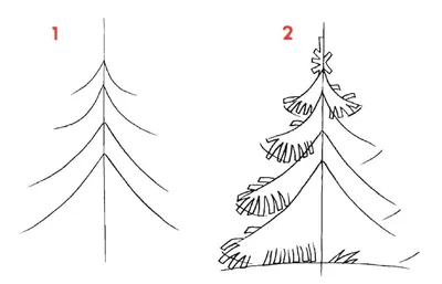 Рисунки елки для срисовки (29 лучших фото)