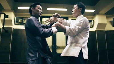 Ip Man | Rotten Tomatoes